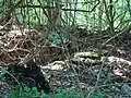Mauerreste außerhalb des Turmsockels