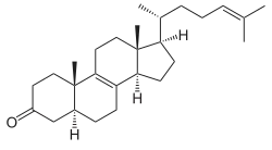 Zymosteron