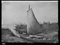 Segelboot am Ufer des Bodensees, Foto: Bruno Wehrli, 1906