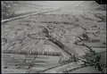 Melser Au bei Sargans (SG), Windschutzpflanzung, Rheinebene, 1947