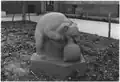 Bears Playing (1938), Harlem River Houses New York City