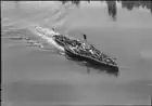 1954