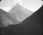 Ansicht 1919