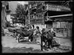 Evolèner Kühe an der Tränke am Dorfbrunnen in Evolène im Jahr 1922