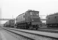 Mehrere Altbaulokomotiven der SBB. In der Mitte die Ae 4/7 11000 dahinter Ae 8/14 Nr. 11801