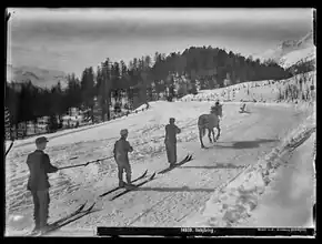 Skijöring-Gruppe