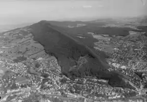 Flugaufnahme des bewaldeten Höhenrückens (1963)