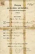 Geburtsurkunde (1857/1874), Geburts- und Taufregister der evangelisch-lutherischen Domgemeinde zu Schwerin