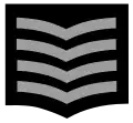 Leitender Hauptbrandmeister