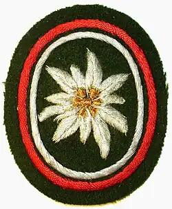 Verbandsabzeichen Gebirgsjägerbrigade 23