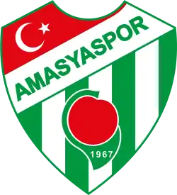 Logo von Amasyaspor