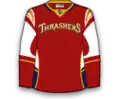 Alternativtrikot (2008–2011)