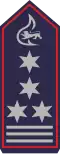Feuerwehrkommandant (als Ltd. HBM)