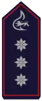Stellv. Kreisfeuerwehrverbandsvorsitzender