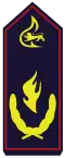 Landesjugendleiter