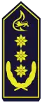 Landesbranddirektor