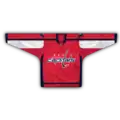Heimtrikot (seit 2007)