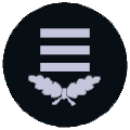 OBM (Oberbrandmeister/in)