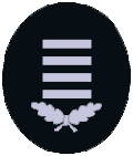HBM (Hauptbrandmeister/in)
