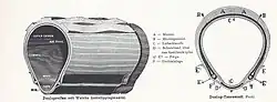 Dunlop-Welch Drahtreifen auf Tiefbettfelge (1892)