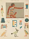 Farbige Hieroglyphen aus dem Grab Ptahhotep in Sakkara