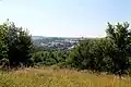 Flehingen vom Reichenberg gesehen