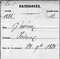 Geburtsurkunde von Isidore Guérin Menneville