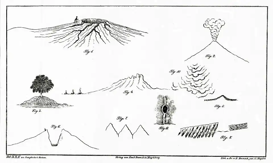 Tafel XXX in Junghuhns Atlas zur Reise durch Java