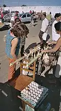 Marktstand mit lebenden Hühnern