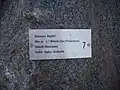 Migmatit im geologischen Lehrpfad