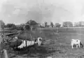 Aufnahme von 1894