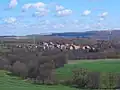 Das Oberdorf von Rosenthal aus Dittelsdorfer Perspektive