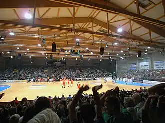 Handballspiel MT Melsungen gegen HSV Hamburg am 30. Mai 2009