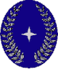 stellvertretender Leiter der Feuerwehr
