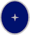 stellvertretender Einheitsführer[5]