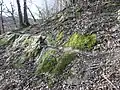 In den Fels gehauener Pfad zum Burgeingang. Entstanden möglicherweise zur Bauzeit der Burg.