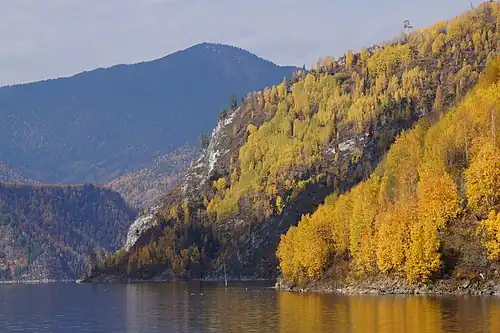 Nationalpark Schuschenski Bor