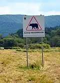 Vorsicht Bär!