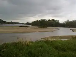 Flussinseln am Zusammenfluss von Loire und Allier
