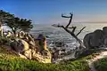 Am Pescadero Point