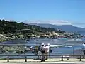 Cypress Point Lookout