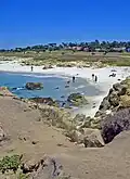 Hinter dem Pebble Beach verläuft der 17-Mile-Drive / USA