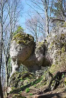 Der Juraelefant