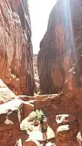 Eine Felsbrücke