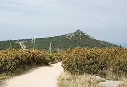 Kammwanderweg am Reifträger