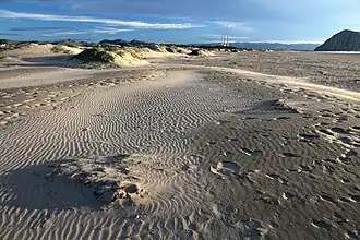 Morro Strand State Beach