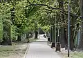 Kastanien-Allee
