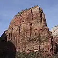 Angels Landing / Zion Canyon Shuttle Route