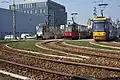 Straßenbahn in Annopol