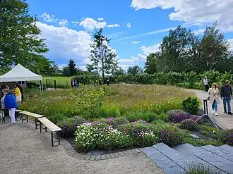 Arnika-Akademie